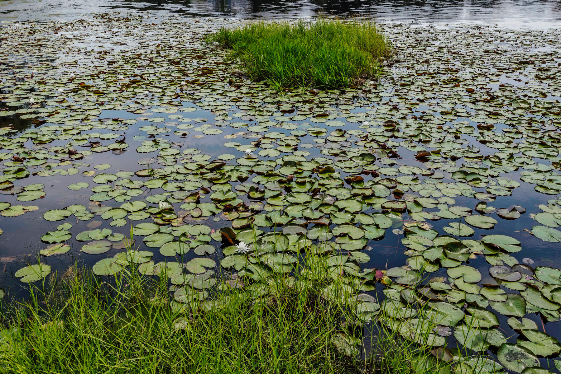 Beach Highland - Land