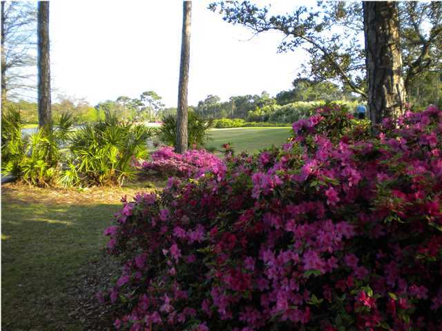 REGATTA BAY PH 2 - Land