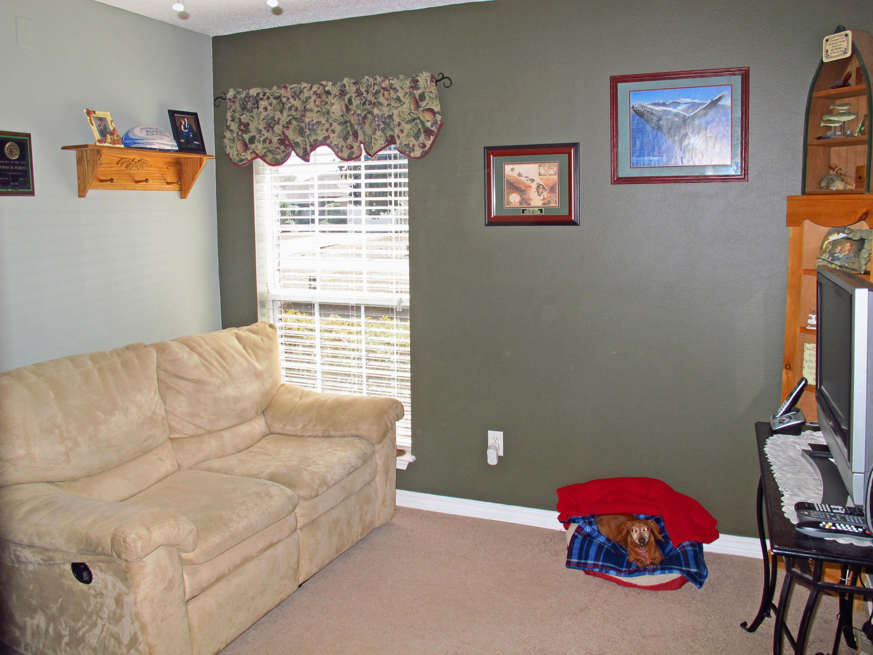 HIDDEN CREEK AT HOLLEY BY THE SEA - Residential