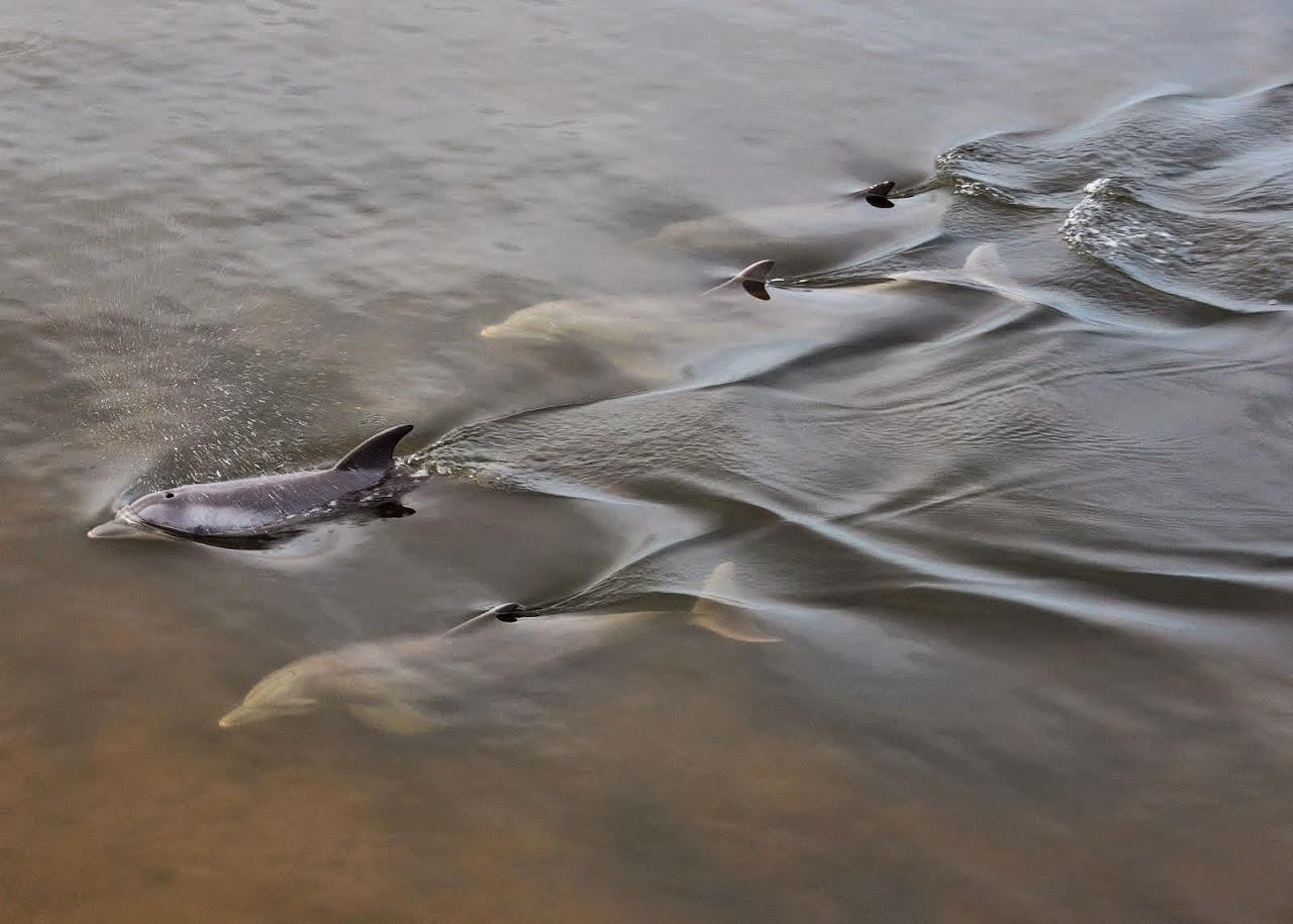 Baybridge Landing - Land