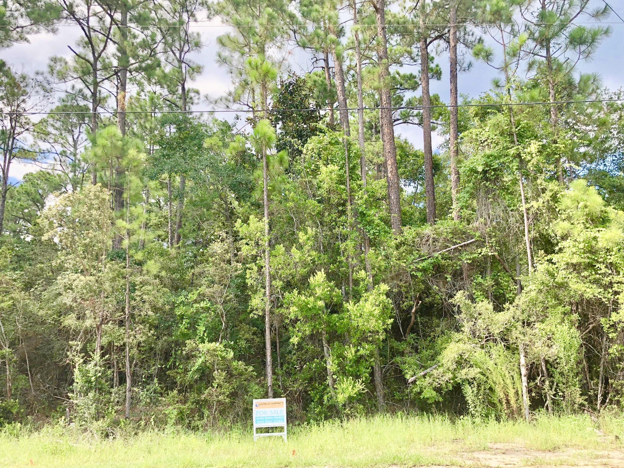 MAGNOLIA BEACH - Land