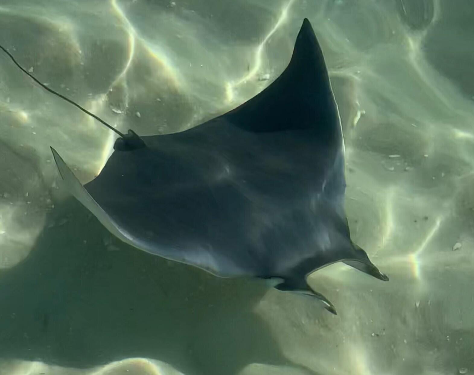 BREAKERS OF FWB PH 1 - Residential