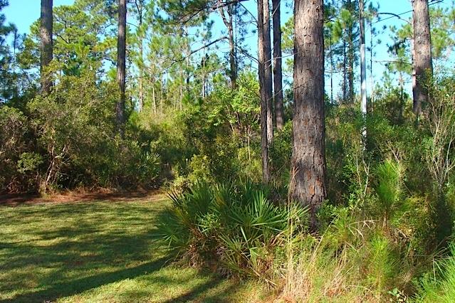 EXCLUSIVE BEACH - Land