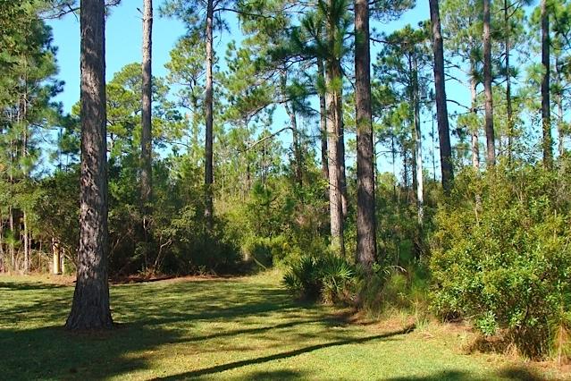 EXCLUSIVE BEACH - Land