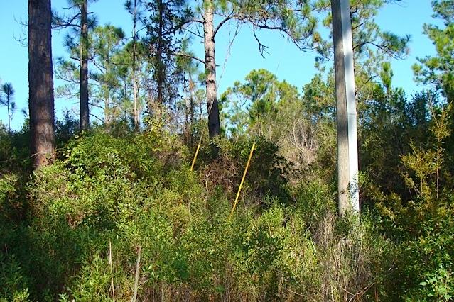 EXCLUSIVE BEACH - Land