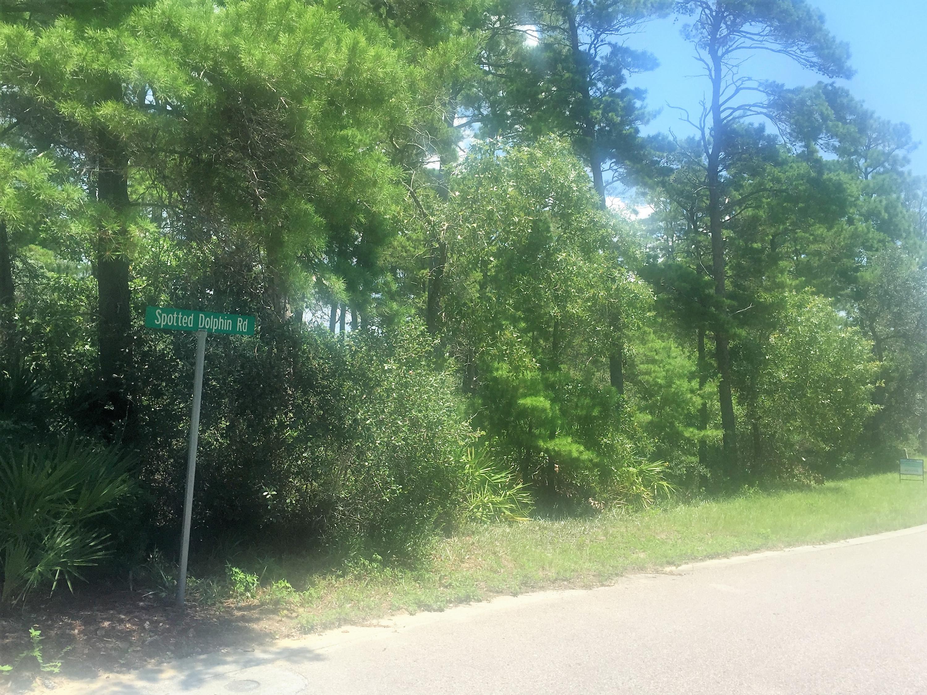 This lot is a large lot in a super west end 30-A subdivision with no Hoa fees. Very convenient to either Destin or Rosemary area, a 'perfect location'..3 other contiguous lots may be bought. ask Paul for options.