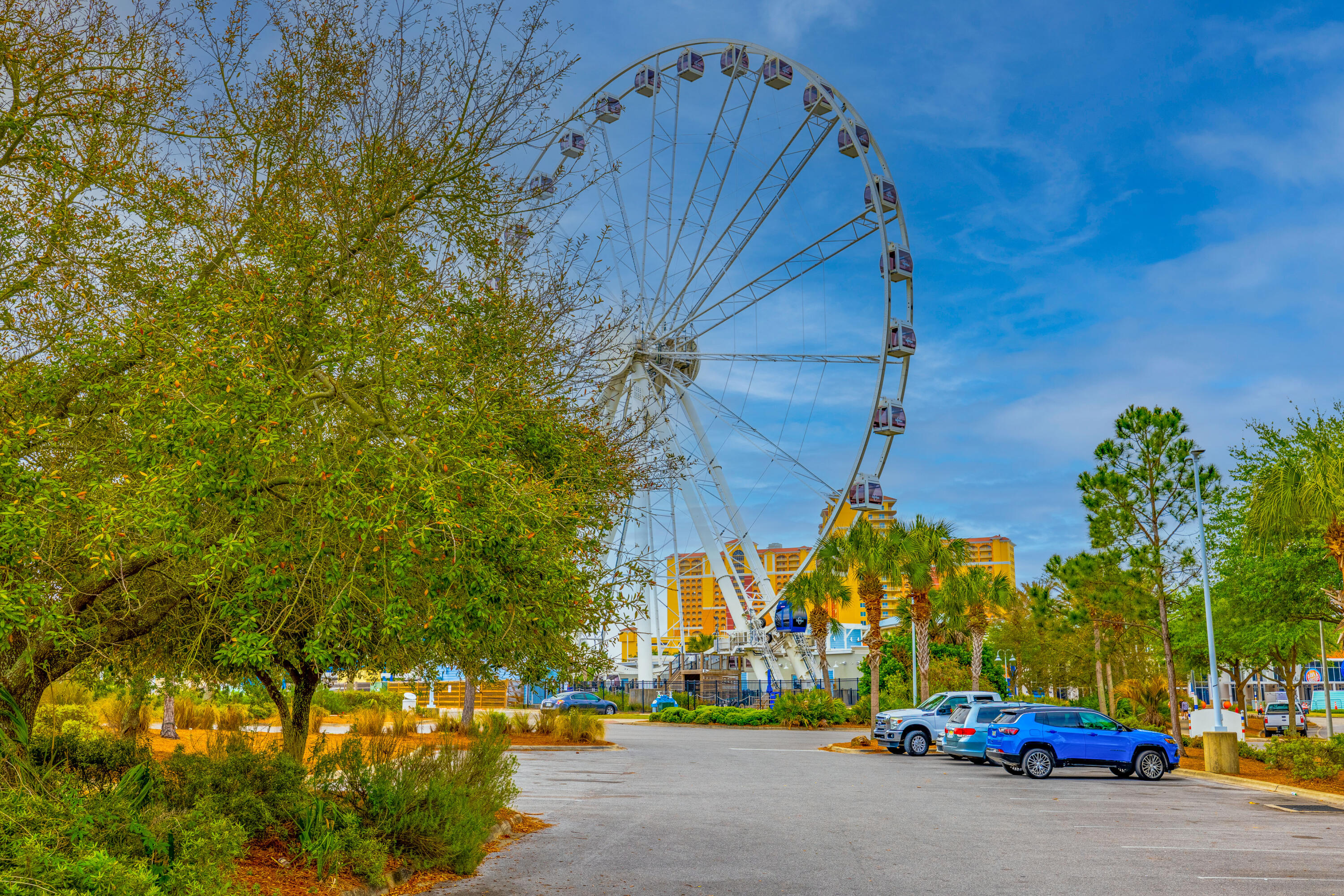 Palmetto Trace Phase 1 - Residential