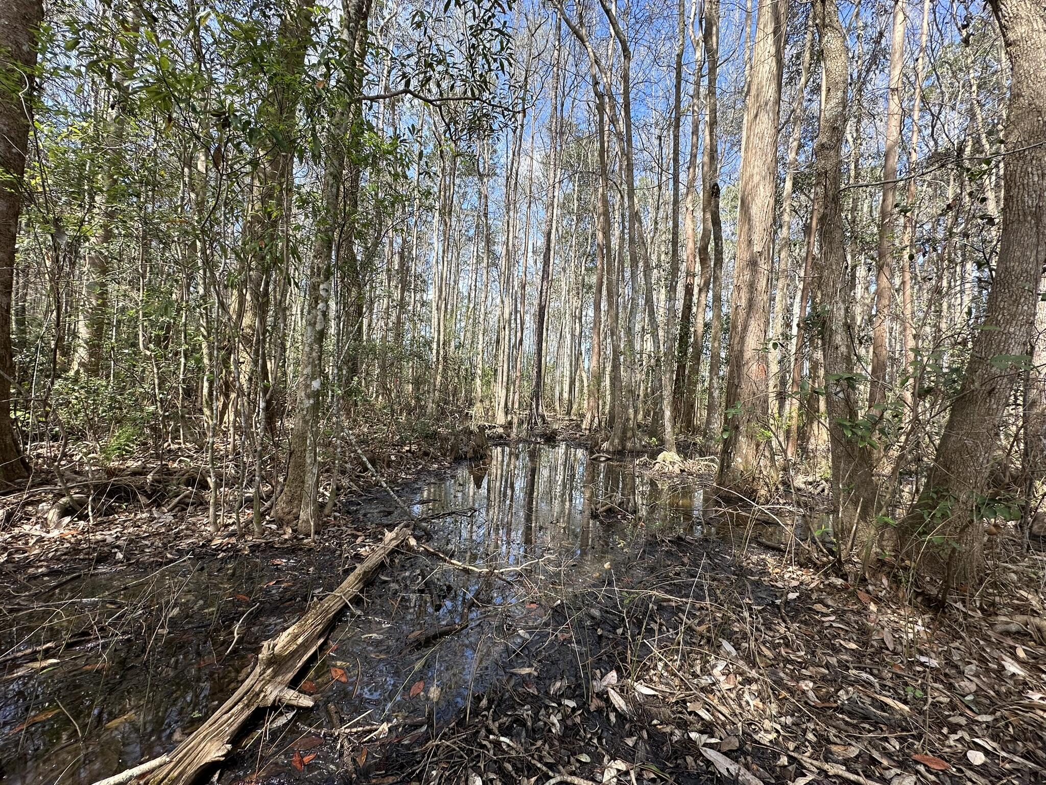 METES & BOUNDS - Farm