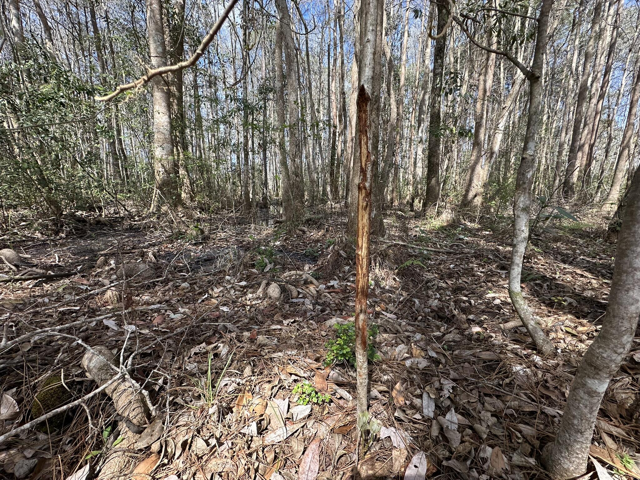 METES & BOUNDS - Farm