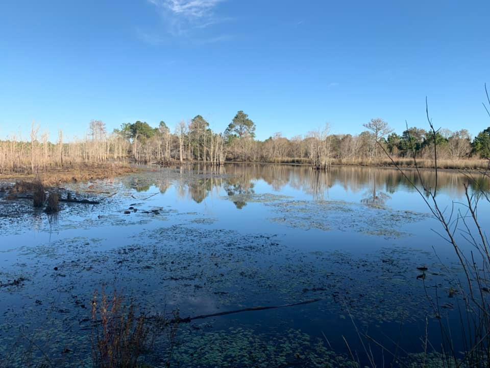 Gorgeous twenty-eight acre parcel with over twenty-one acres of pasture land, over two acre pond and the rest is wooded! Most of the property is bordered by trees and would make a beautiful place to build your farmhouse or country estate! Property fronts both State Highway 83 N and county maintained Mclendon Rd, giving it over 1000 feet of road frontage. Don't let this opportunity pass you by!