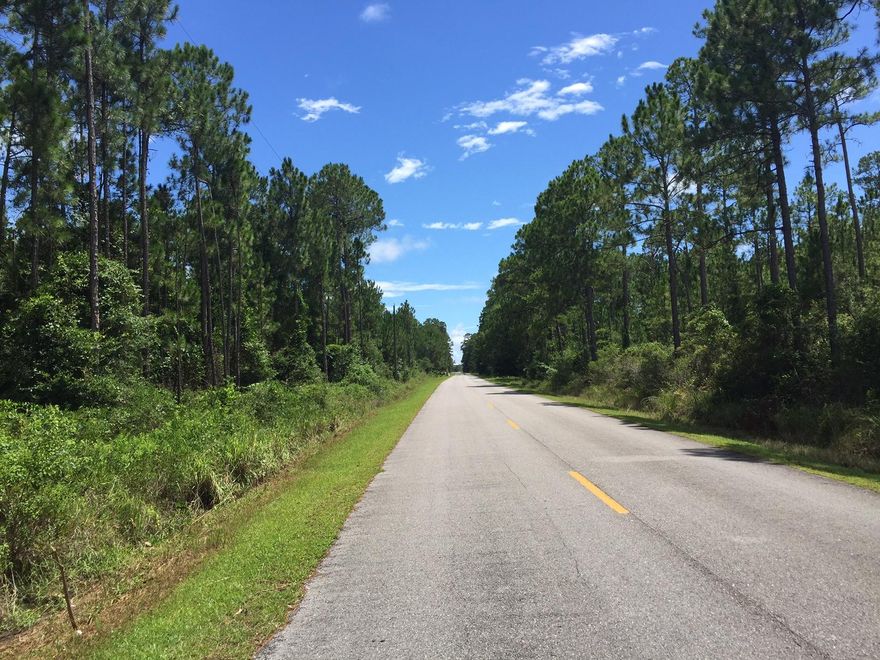 9.75 wooded acres. Minutes to the Hogtown Bayou public boat ramp and access to Choctawhatchee Bay. Less than 5 miles to Gulf Place and the public beach access leading to the Gulf of Mexico and the most beautiful beaches in the world! Some wetlands have been found on property.