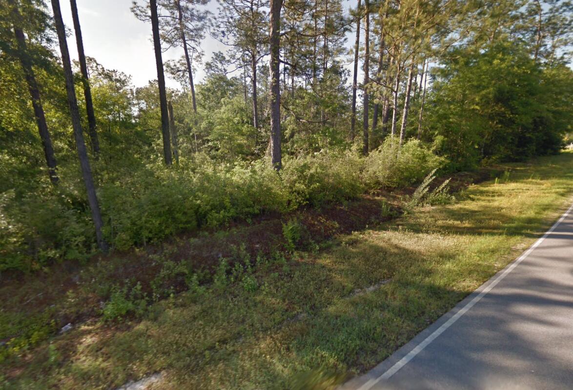 Beautiful lot that backs up to a small lake. You're just a minute off of Hwy 331, 5 minutes to I-10 and a few more minutes in to town.Convenient location that offers some peace and quiet...and a lake!No HOA.Minimum of 1,200 sq ft, site-built home required. Nice homes on this street.The lot is primarily high and dry with a small portion of the rear (near the lake) considered flood zone. There's plenty of space to build the home you want.