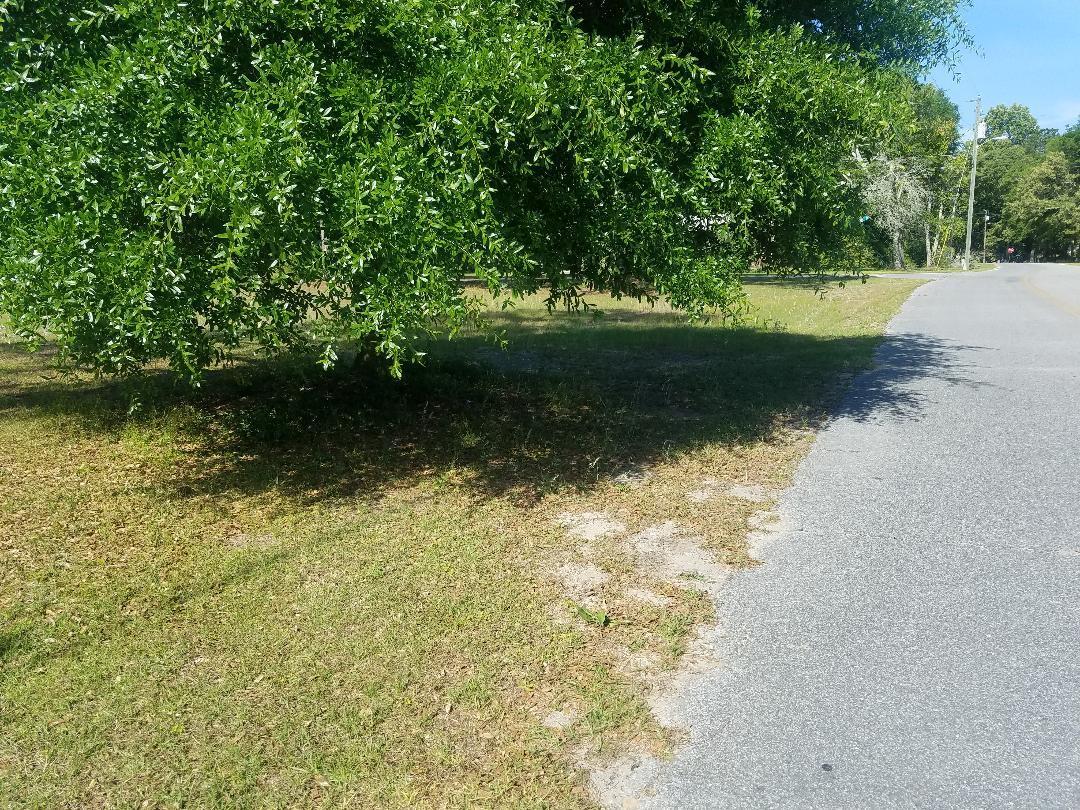 LURIE HEIGHTS - Residential