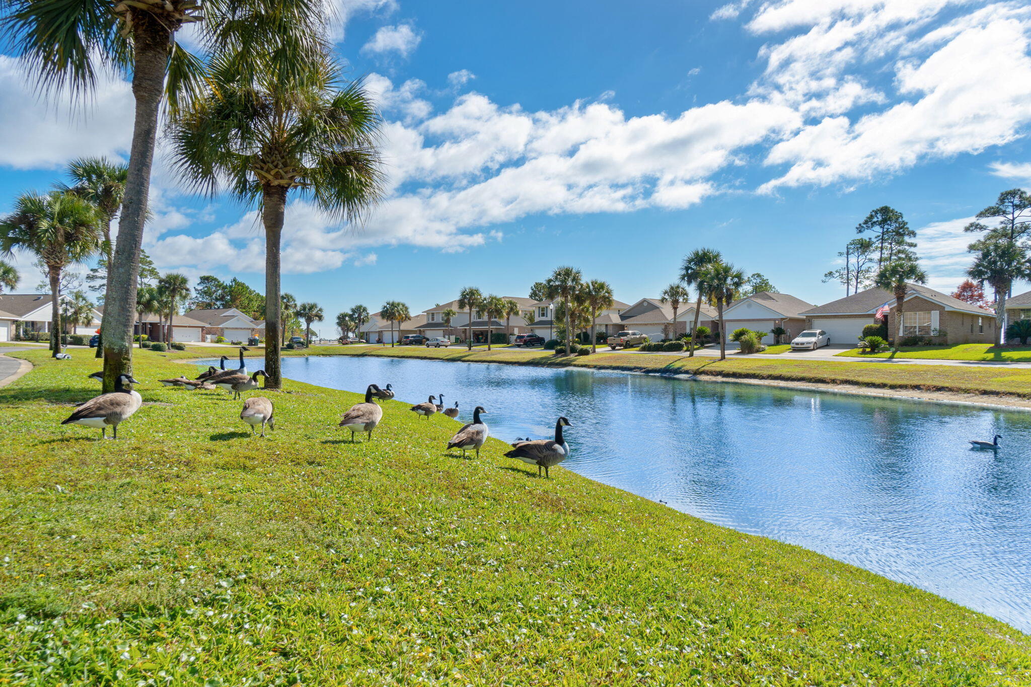 MARSH HARBOR - Residential