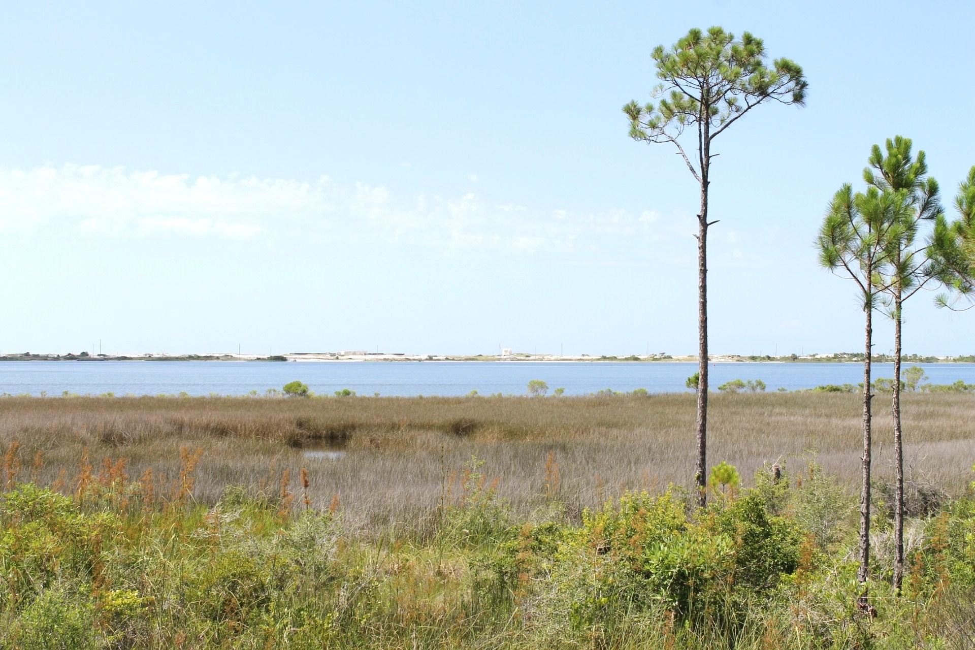 MARSH HARBOR - Residential