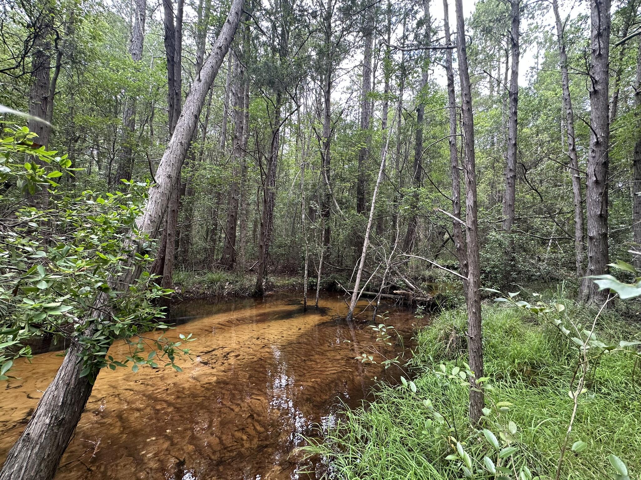 Discover 5+/- acres of open possibilities along Keyser Mill Road in Baker. This peaceful property offers a balance of cleared space and natural landscape, ready for your vision--whether that's a private homestead, small farm, or recreational getaway. Located in a quiet rural area known for its agricultural roots, Baker offers local parks, community events, and easy access to Crestview and the surrounding region. A great opportunity to enjoy more space and freedom in a welcoming Northwest Florida setting.