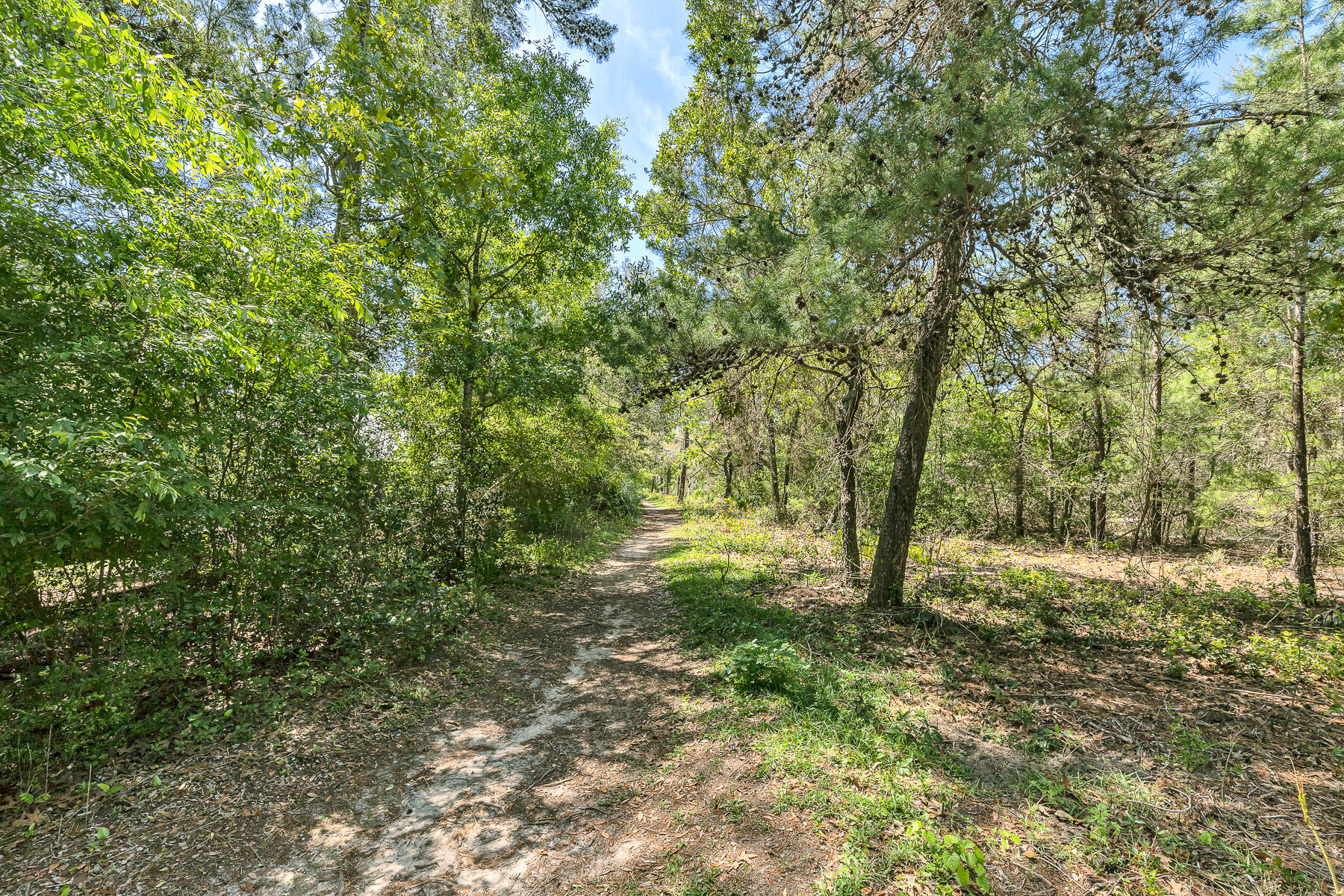 ESCADA B - Residential