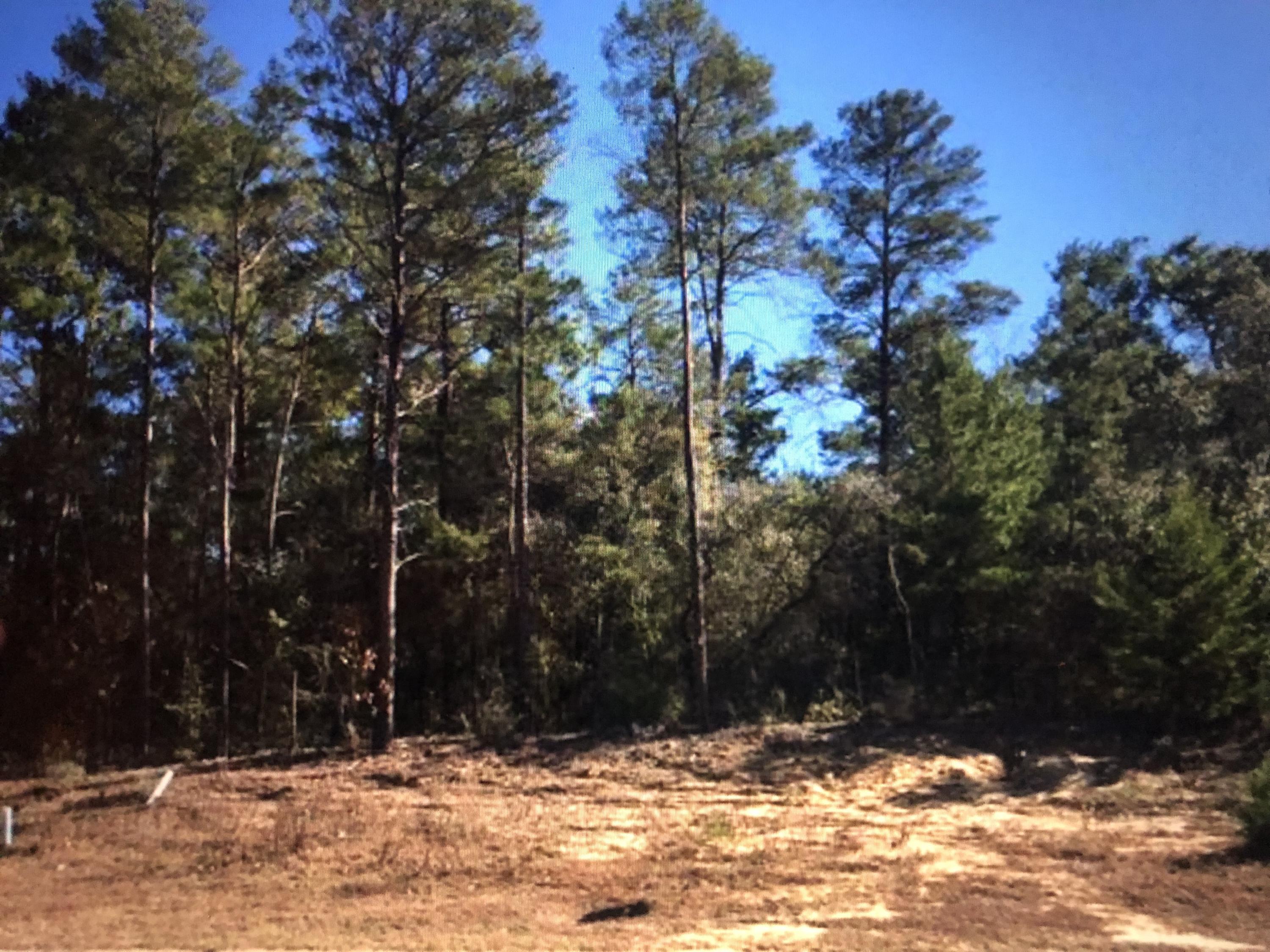 SWIFT CREEK PLANTATION PH II - Land