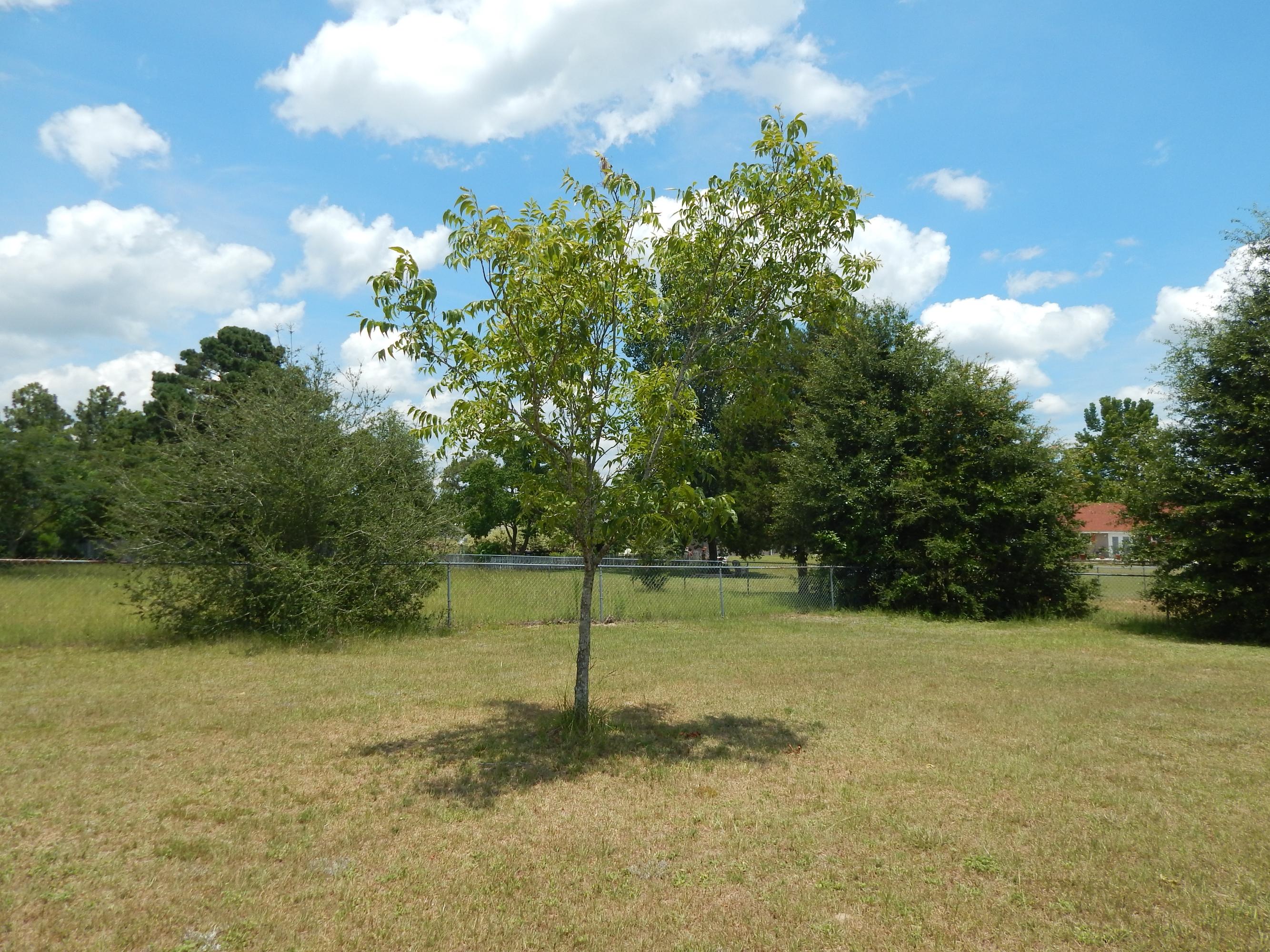 HARVEST HILL PH 3 - Residential