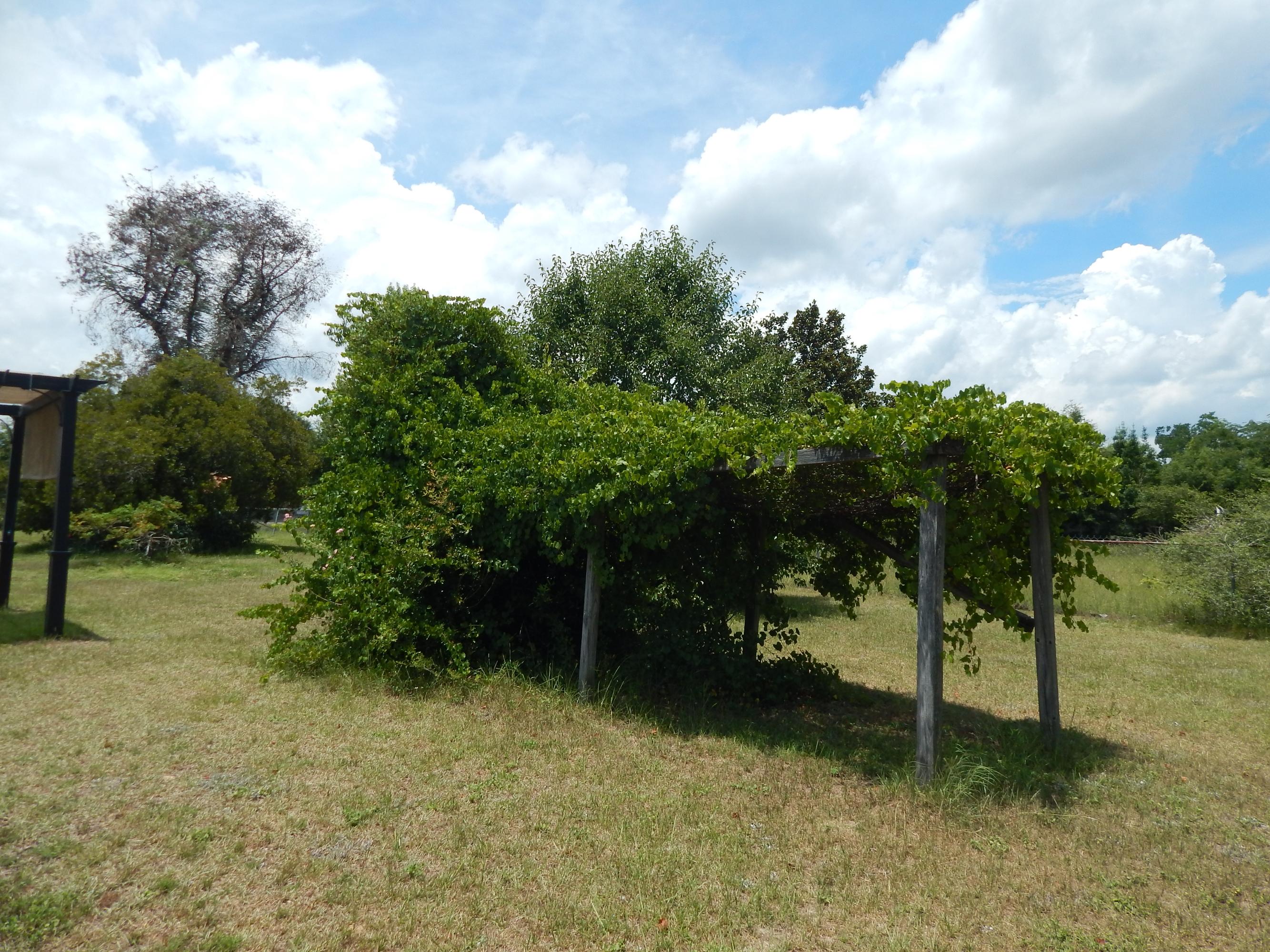 HARVEST HILL PH 3 - Residential