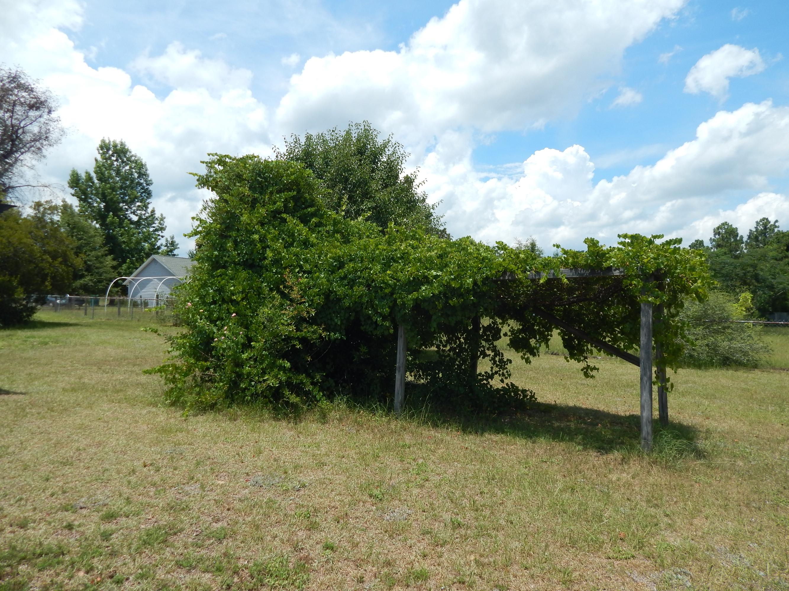 HARVEST HILL PH 3 - Residential