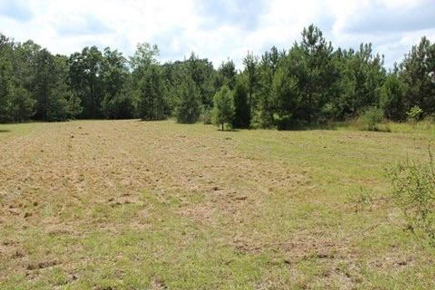 WOW! What a BEAUTIFUL piece of property in such a peaceful setting! This could be the setting you have been looking for to build your dream home! This 10.8 Acre parcel is located North of Crestview and has over 528 feet of paved highway frontage. There are so many options for this land from home site to hunting... you decide what to do with your little piece of heaven on earth! Call to schedule your private showing today.