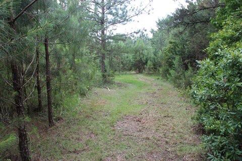 METES & BOUNDS - Land