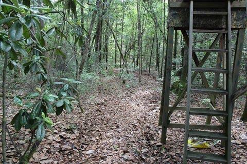 METES & BOUNDS - Land