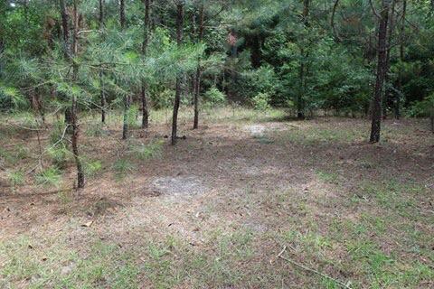 METES & BOUNDS - Land