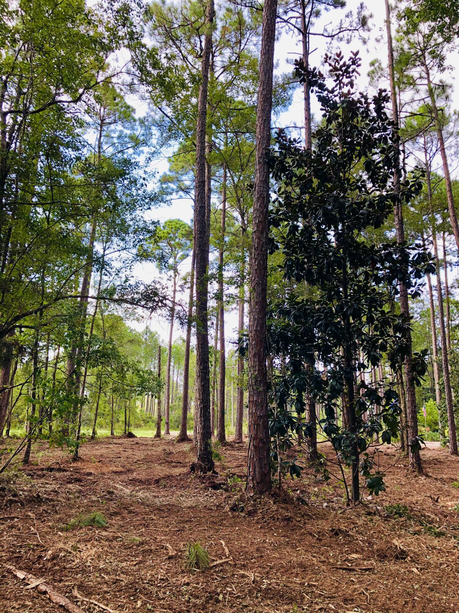 LAGRANGE SHORES - Land