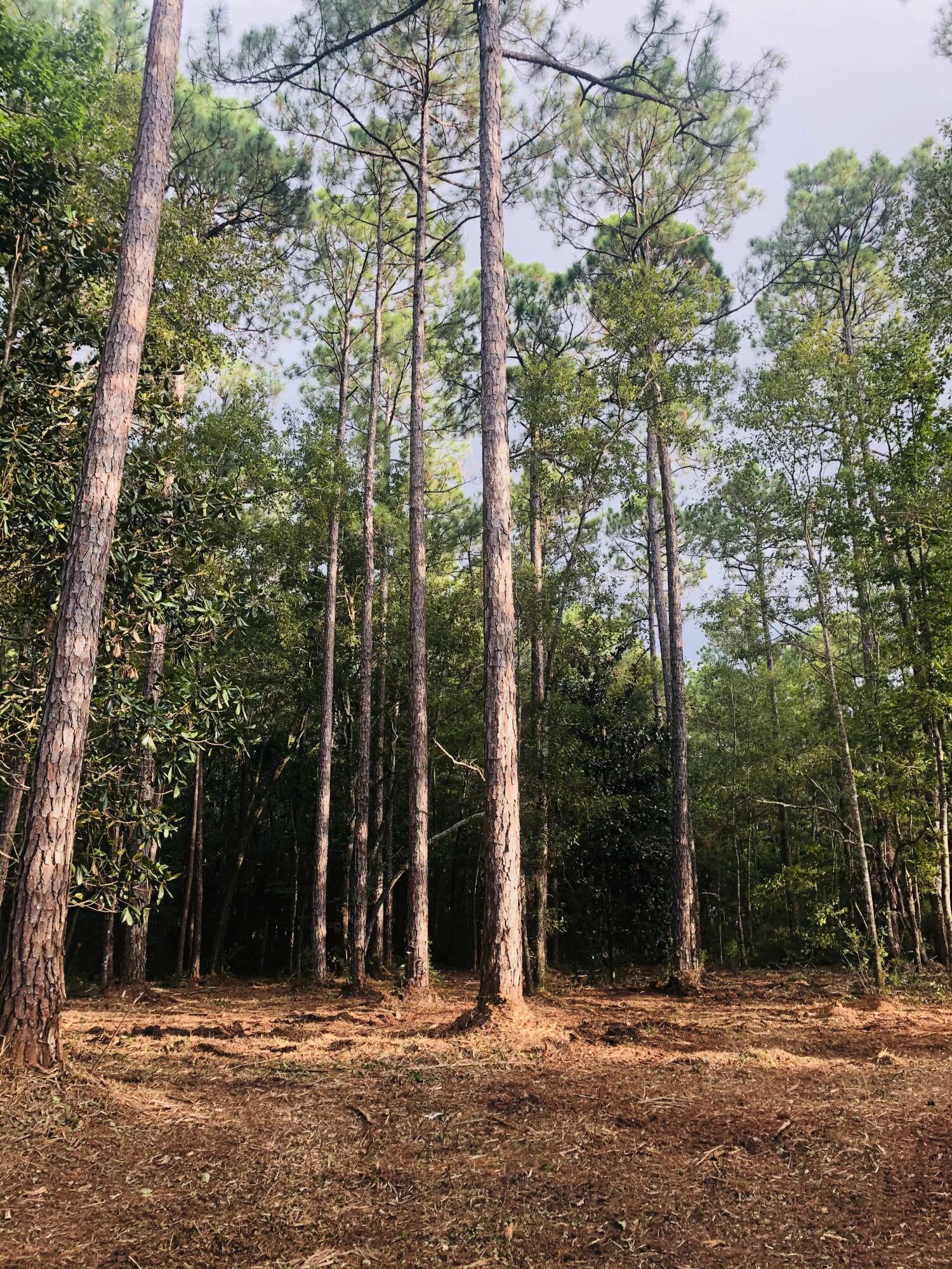 LAGRANGE SHORES - Land