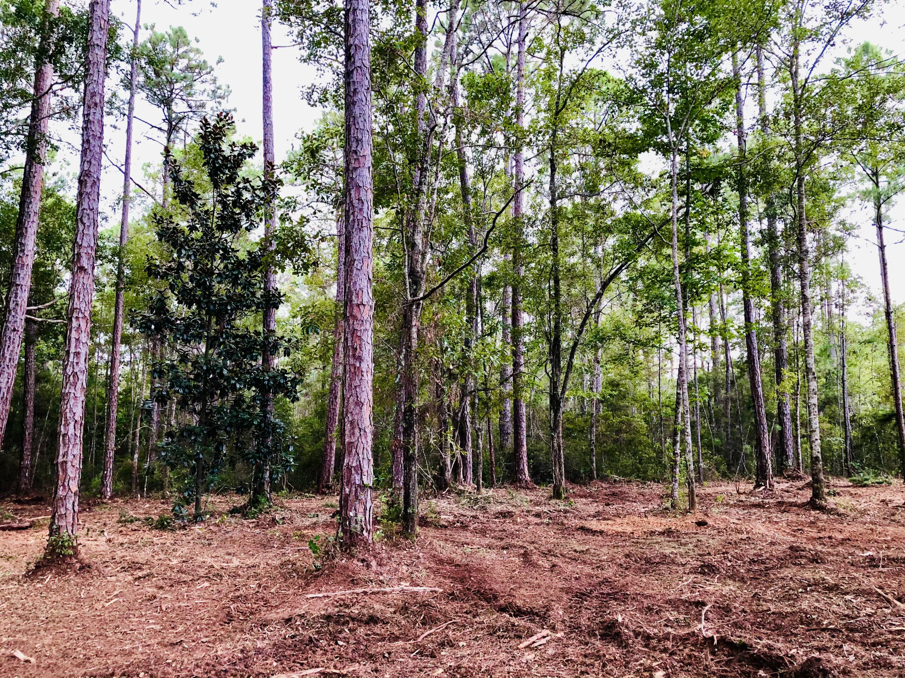 LAGRANGE SHORES - Land