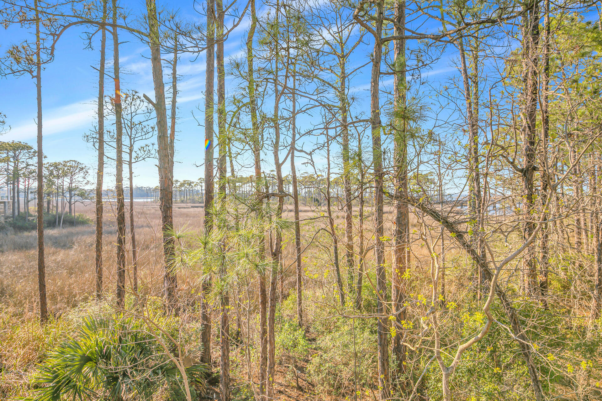 BAYPINES (SANDESTIN) - Residential