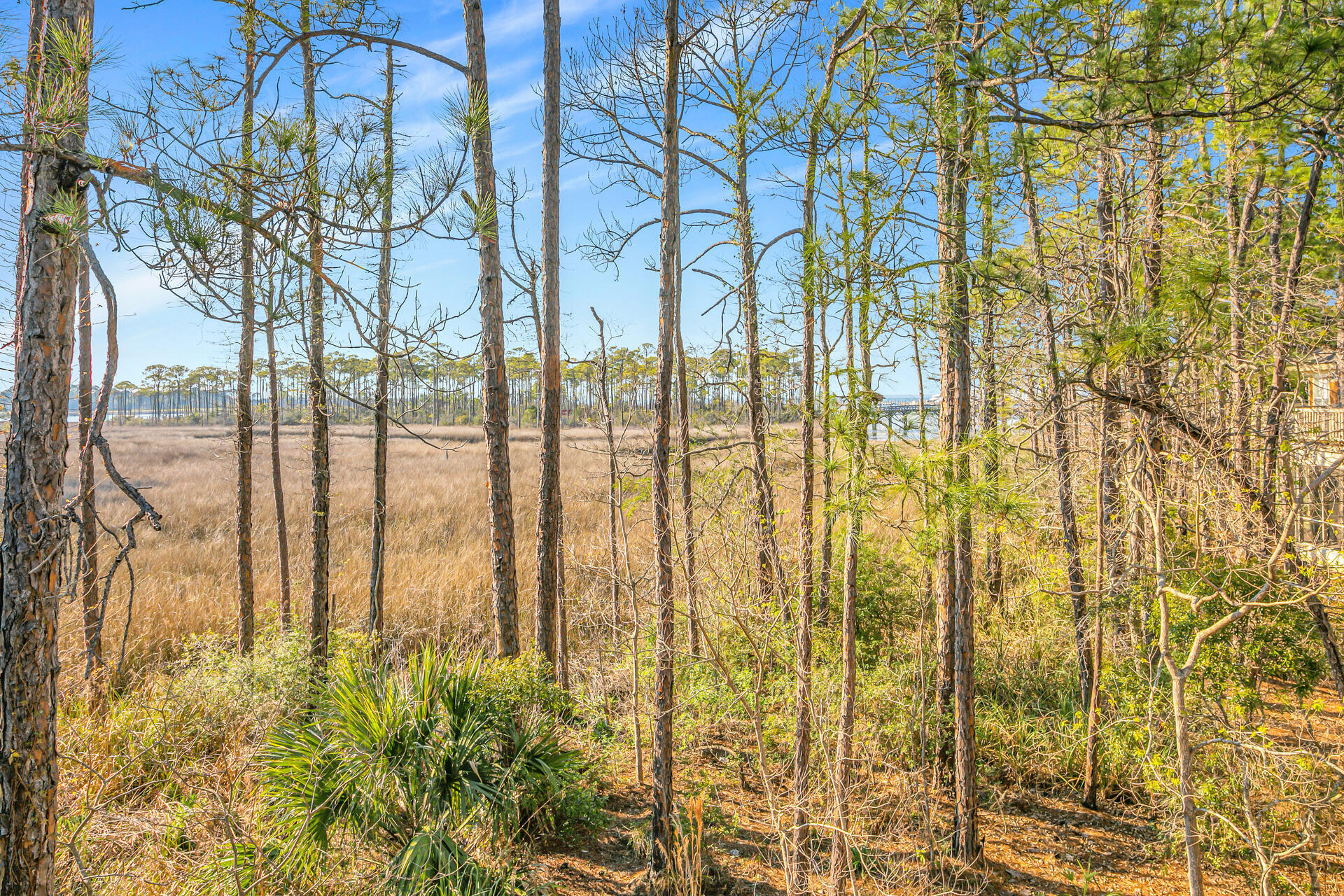 BAYPINES (SANDESTIN) - Residential