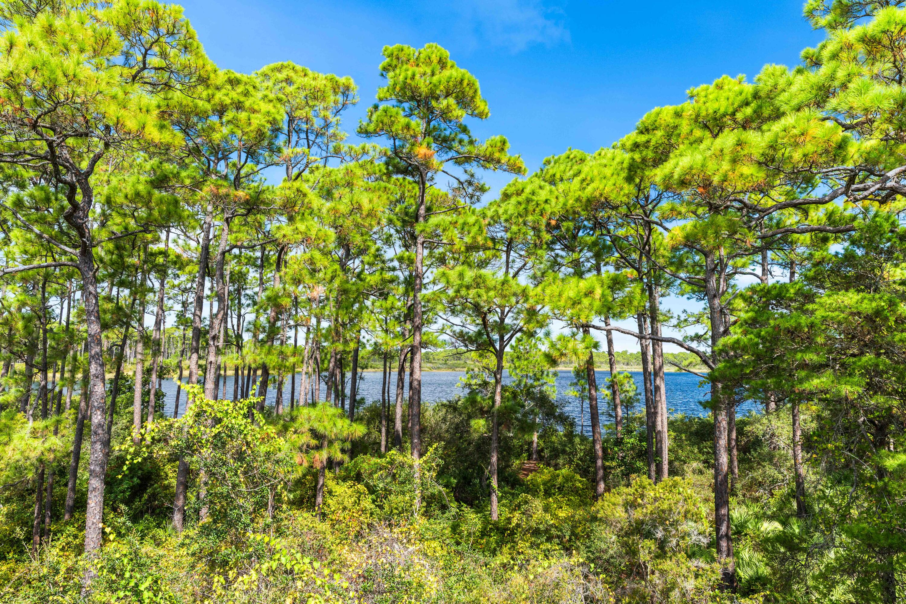 FOUR MILE VILLAGE - Residential