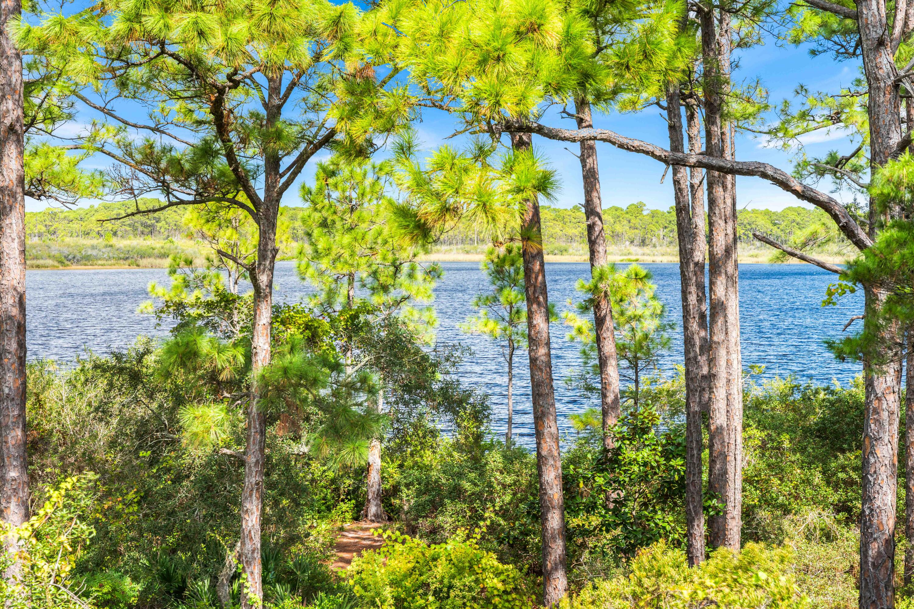 FOUR MILE VILLAGE - Residential