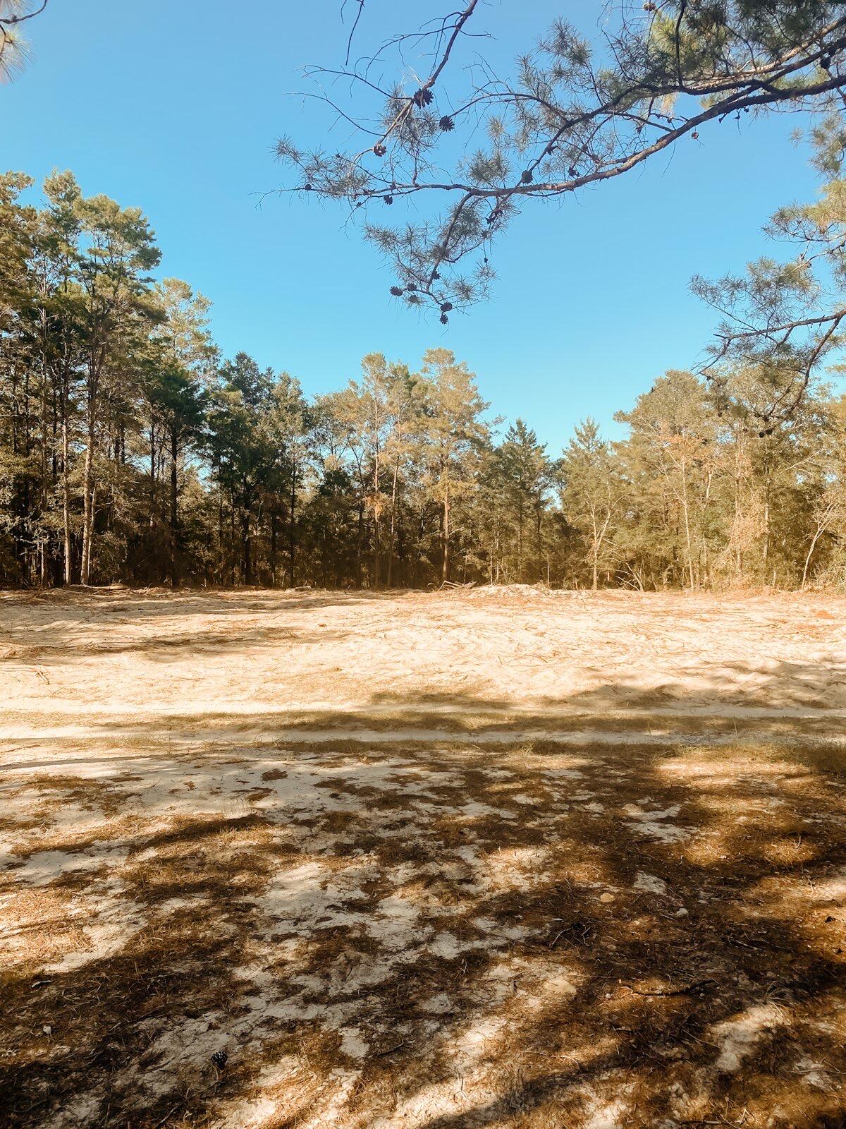 Lot 14 is cleared and ready for you to enjoy the Florida sun! Located in the coveted Flood Zone X, this lot is minutes from DeFuniak Springs, which was named the Best Small Town in Florida by msn.com's Insider Online! Survey available; septic and well required. Give me a call today to turn this lot into your Florida dream home!