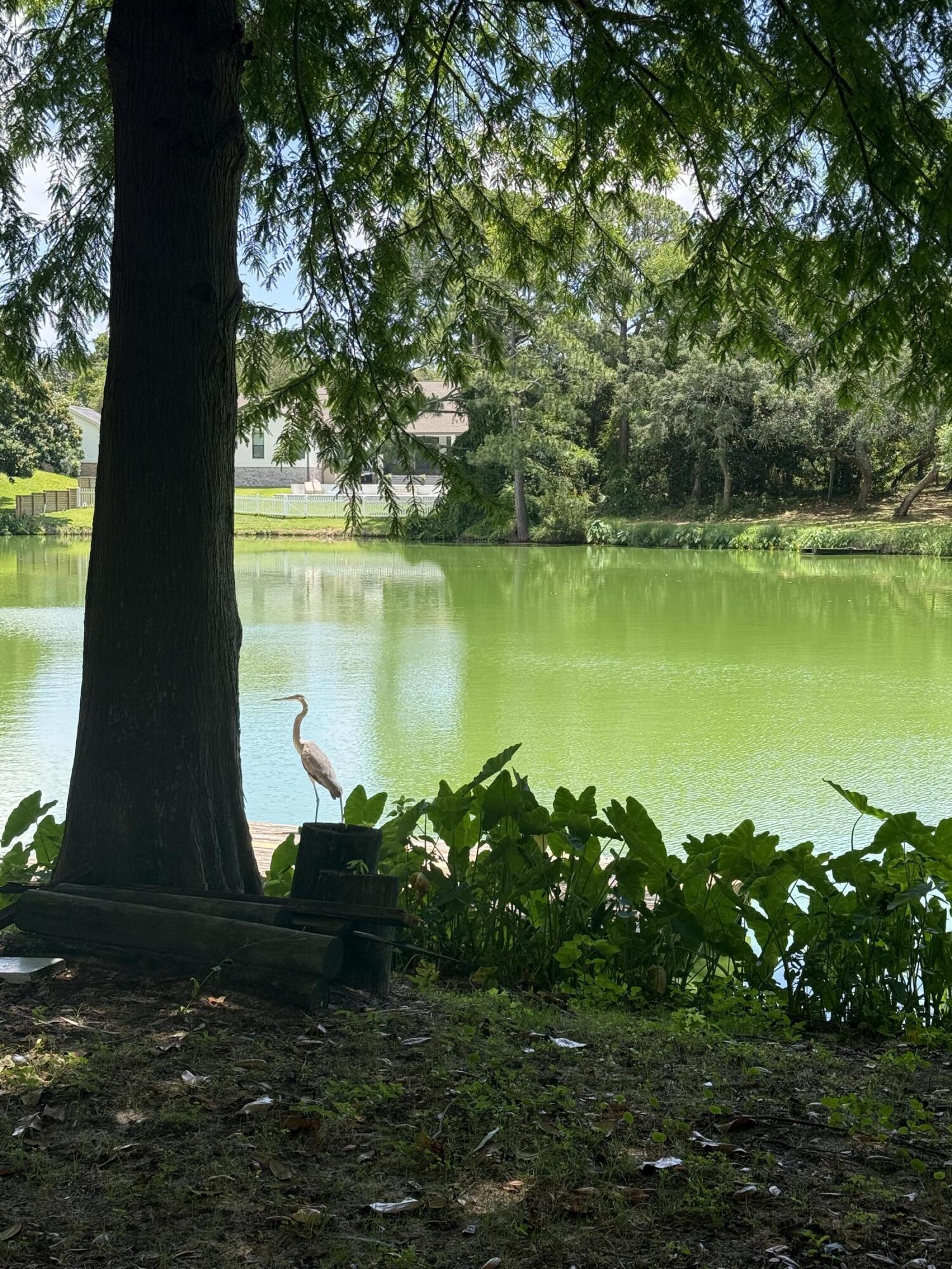 KELL-AIRE GARDENS - Residential Lease