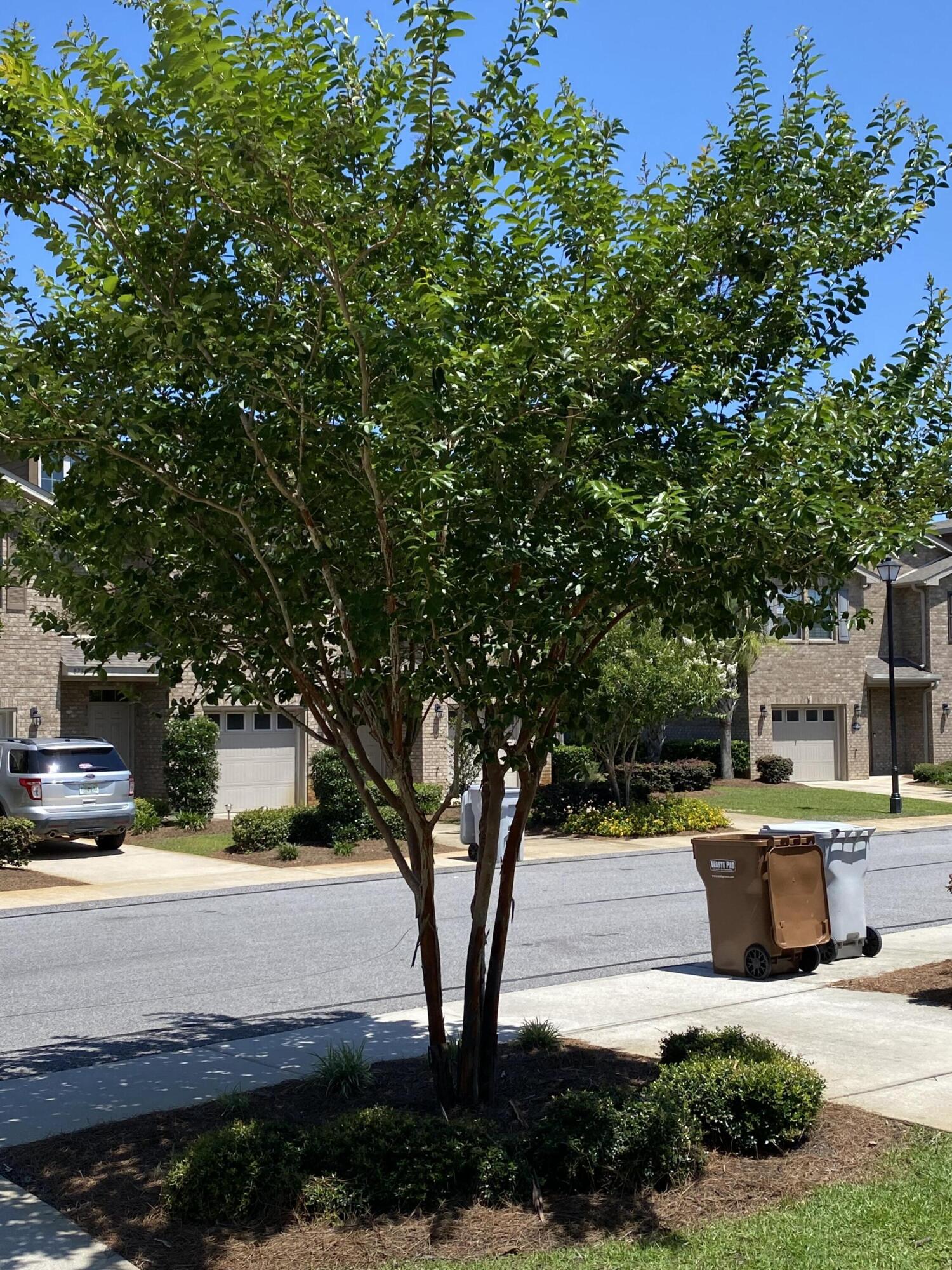 RESERVE POINTE - Residential