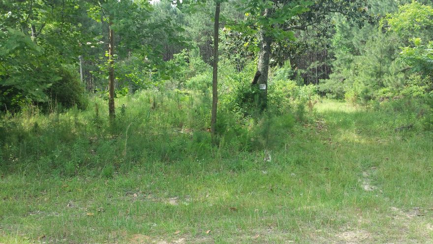 Price Reduced to $84,900 - at 2013 appraised value!! 30 timbered acres off Bob Sikes Road in DeFuniak Springs. Driveable trail into the main property area. Ideal for recreation: camping/fishing/hunting. Short drive from both Niceville and DeFuniak Springs FL. Close to State Highway 331 which takes you quickly to Destin's world class beaches. And close to Interstate 10 too. Take a look today!!
