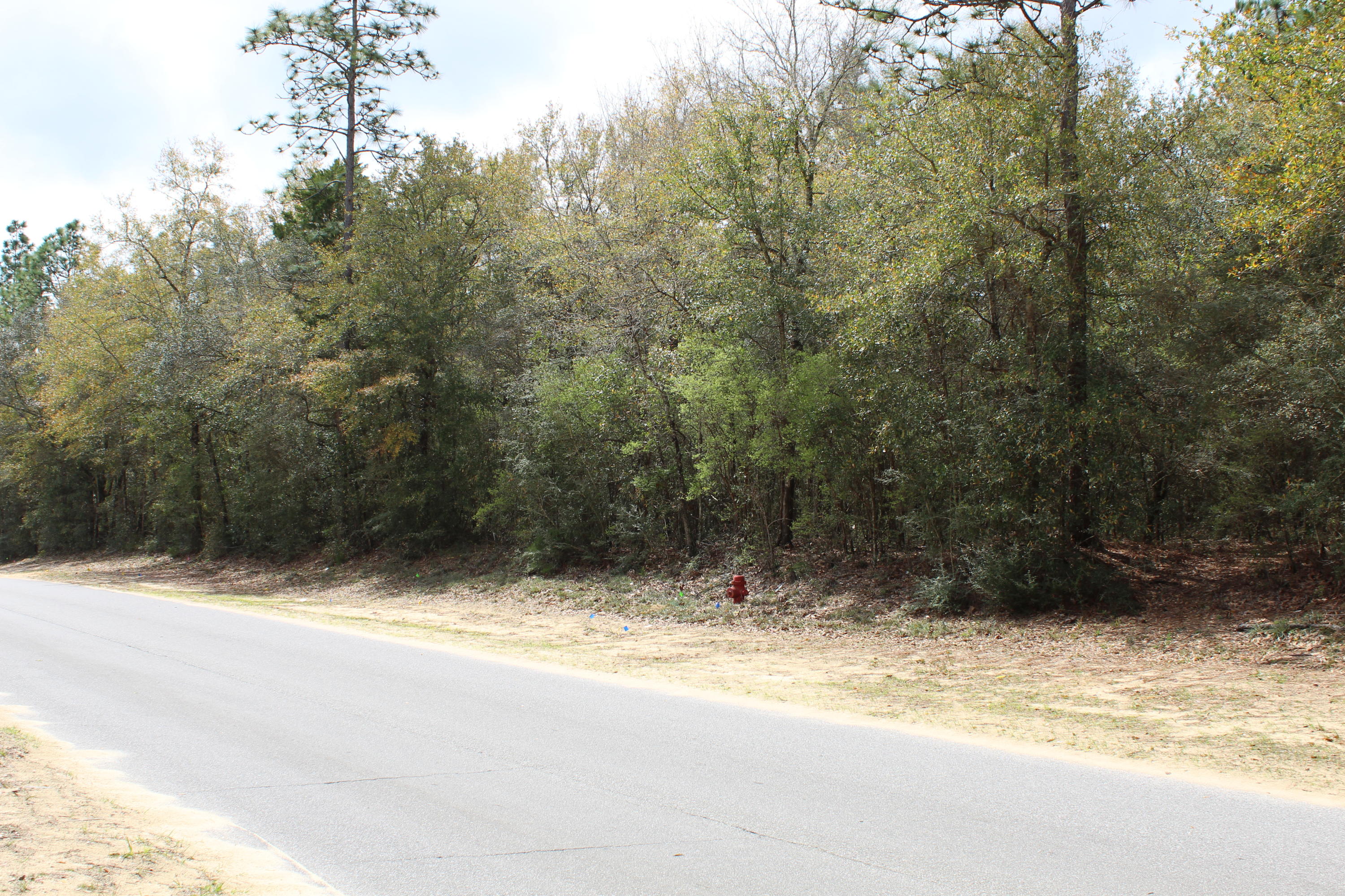 CRESTVIEW (231100.00) - Land