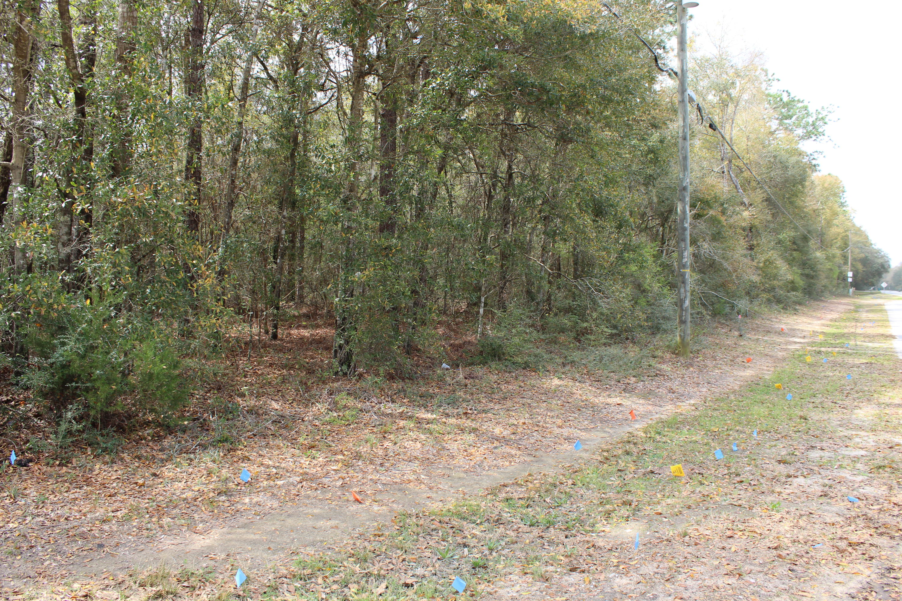 CRESTVIEW (231100.00) - Land