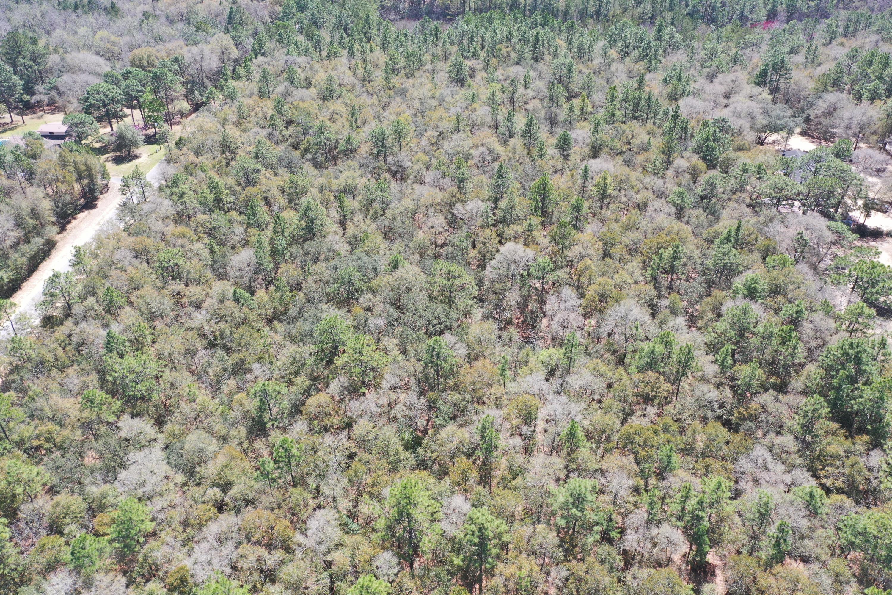 CRESTVIEW (231100.00) - Land