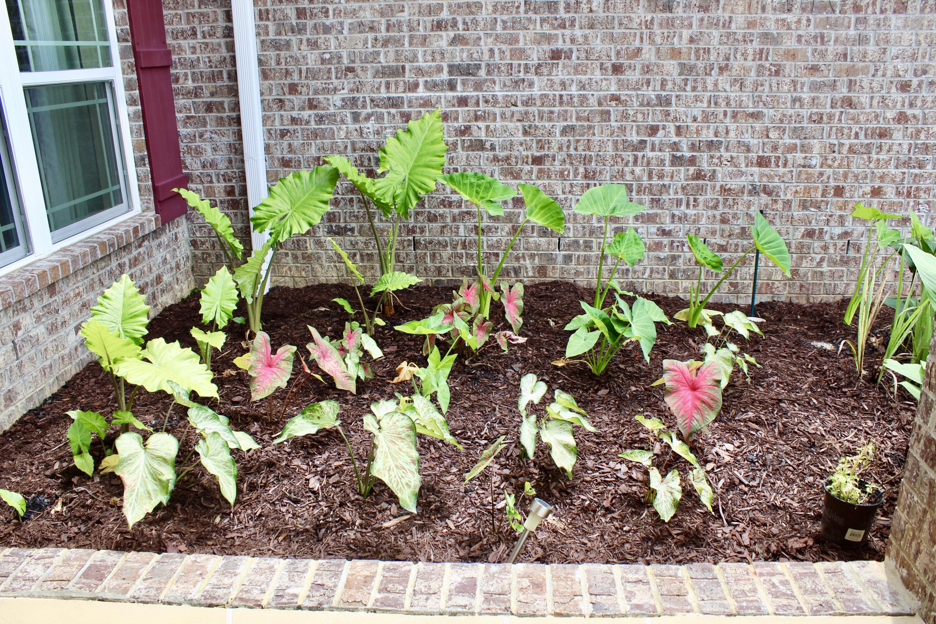 WILLOW CREEK PLANTATION PH 2A - Residential