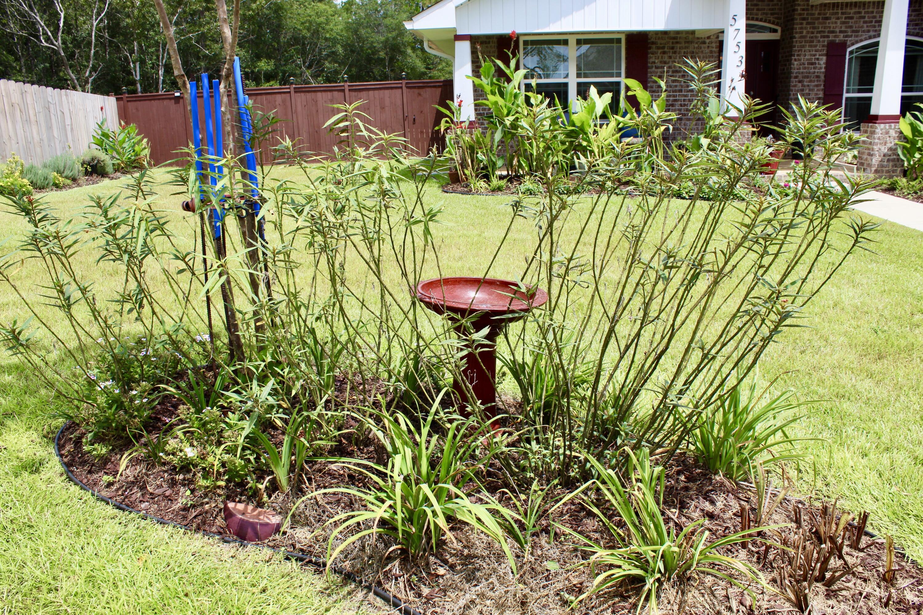 WILLOW CREEK PLANTATION PH 2A - Residential