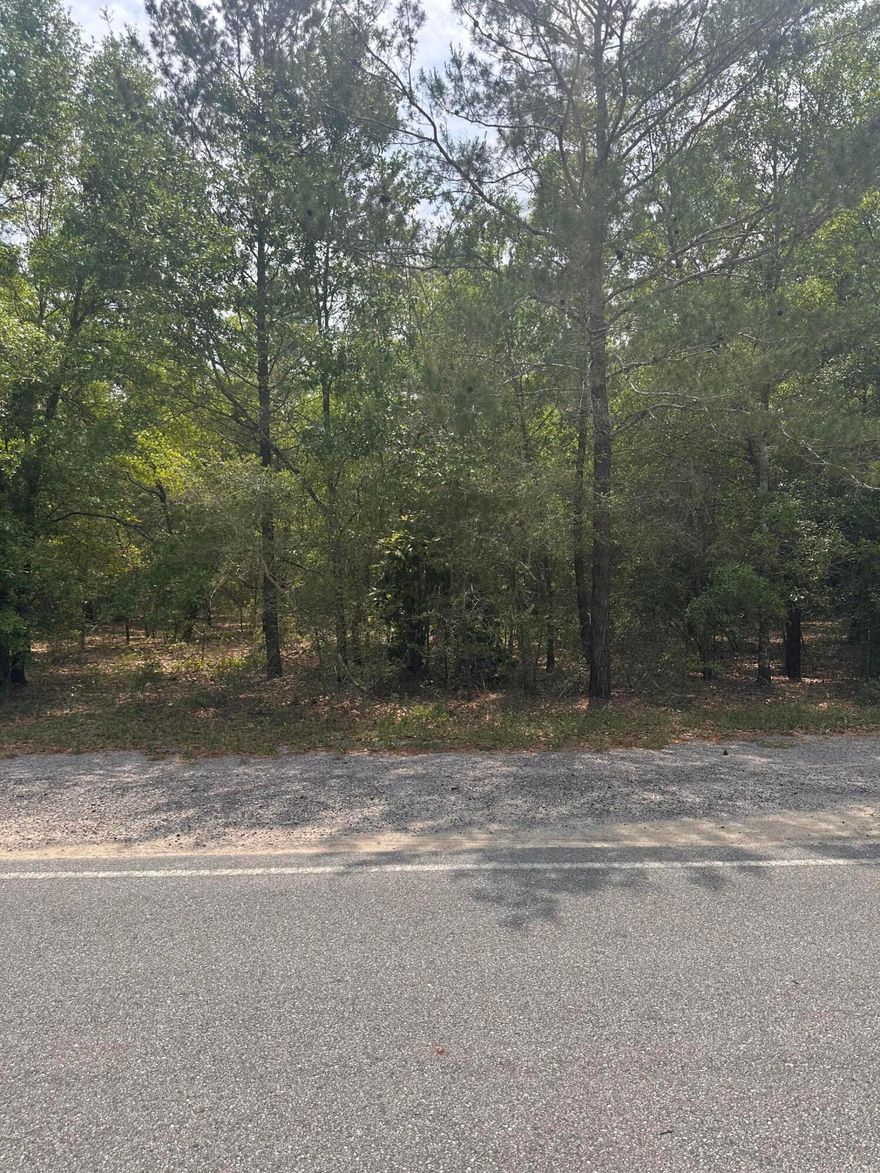 Looking for Seclusion! Beautifully wood lot approx .36 acres between DeFuniak Springs FL and Mossyhead. Mobile homes allowed. No HOA. Minimal Restrictions. City Water available. Tap Fee due.Power available at the road.Septic would be required.The property is Flood Zone X. Per the Walton GIS mapping, the property does not appear to have wetlands. Easy access to the I-10 & CR 285 south making it a great location for work no matter what direction you need to go! You will be approx. 30-45 mins to most workplaces as well as the beautiful white sandy beaches of Florida famous Emerald Gulf Coast and Crab Island. Information contained within this listing is deemed to be accurate but is not guaranteed. All dimensions shown are approximately only per CRS Property Data Report