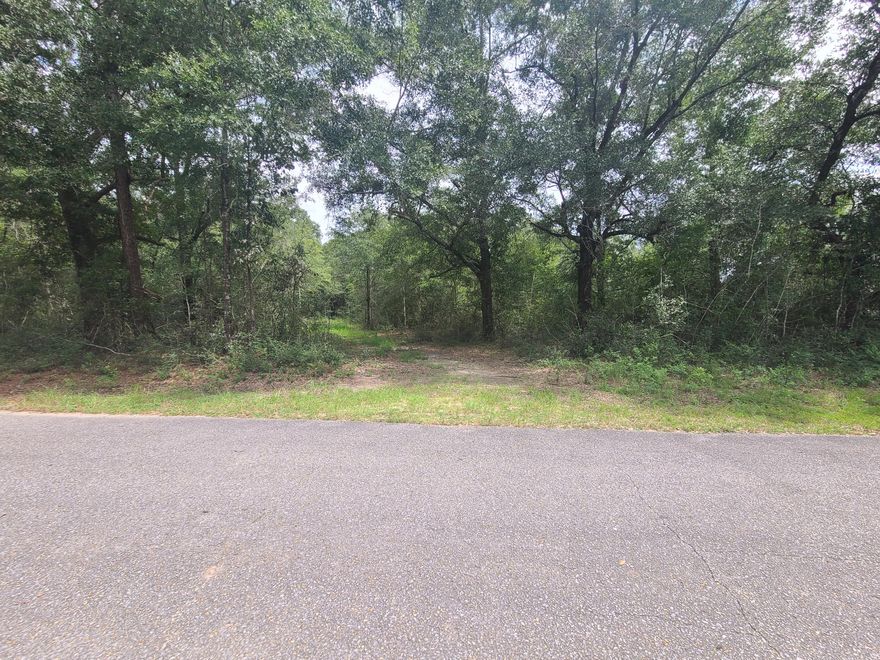 MULTI-OFFERS RECEIVED - SELLER CALLING FOR HIGHEST AND BEST BY 5 PM ON SUNDAY, OCTOBER 2, 2022. Almost 5 Acres of Premium Land just south of I-10 in Milton. High and dry with lots of large hardwoods, this property would be a beautiful site for your forever country home. Easy to get to Hwy 87 (about 3 miles) and south to Navarre/Hurlburt or jump on I-10 to Pensacola.  This area is expanding with new construction.  Isn't it time to stake your claim and own your own piece of this great land?