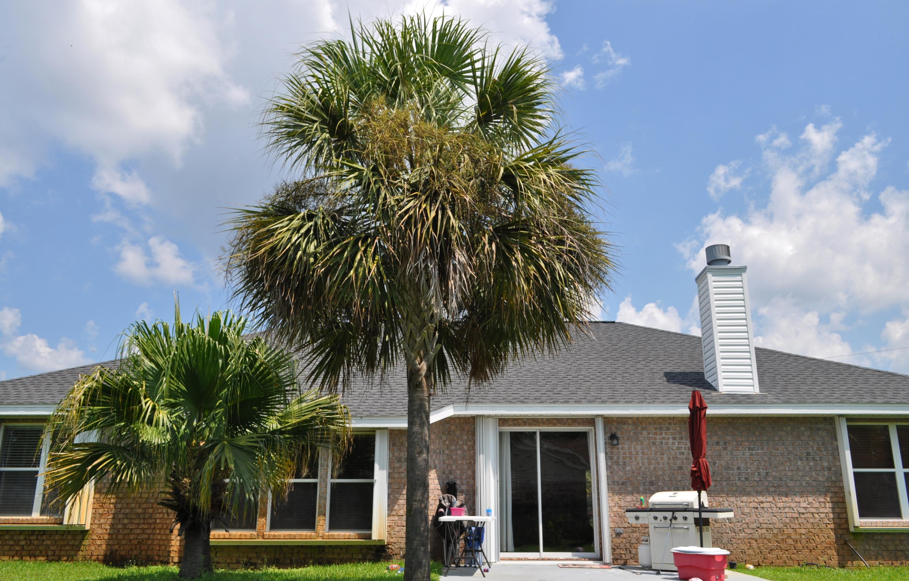 ASHBERRY WOODS - Residential