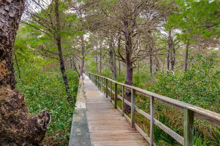 THE PRESERVE AT GRAYTON BEACH - Land