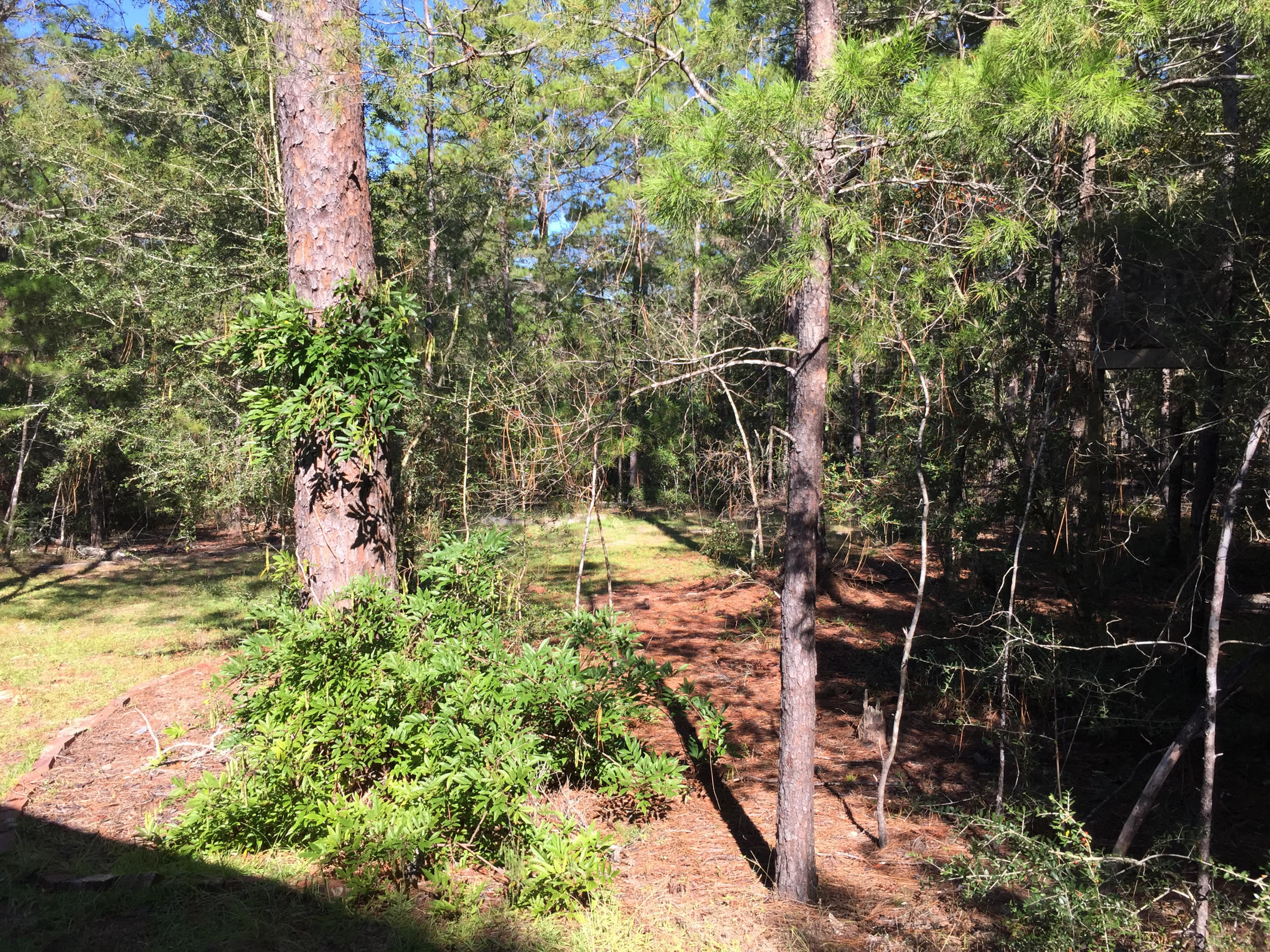 OAKWOOD HILLS UNIT 1 - Residential